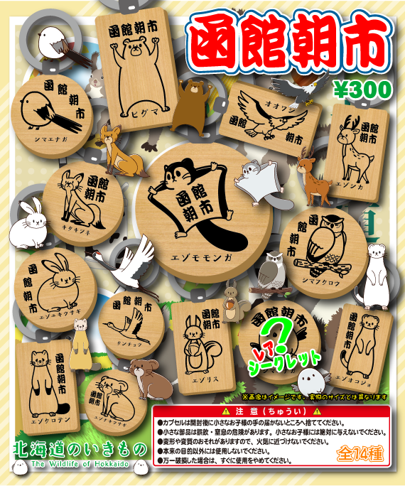 北海道のいきもの(函館朝市)