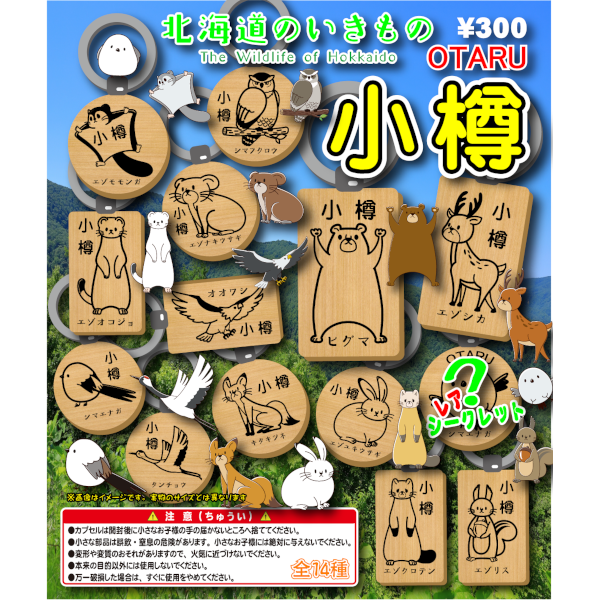 北海道のいきもの（小樽）