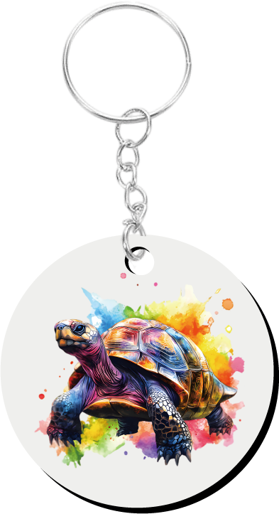 カメ（レインボー）