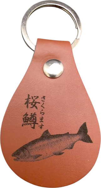 桜鱒（さくらます）